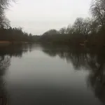 Inobelle